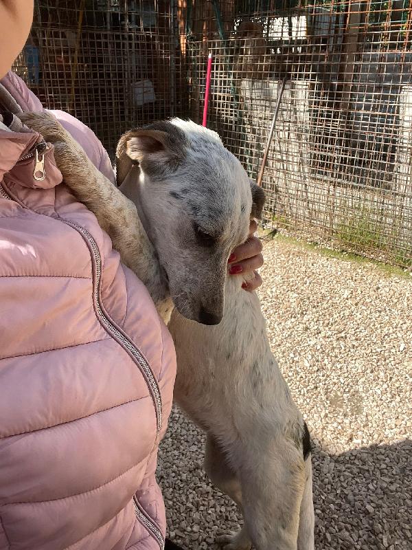 MAMMA e FIGLIA Foto 4